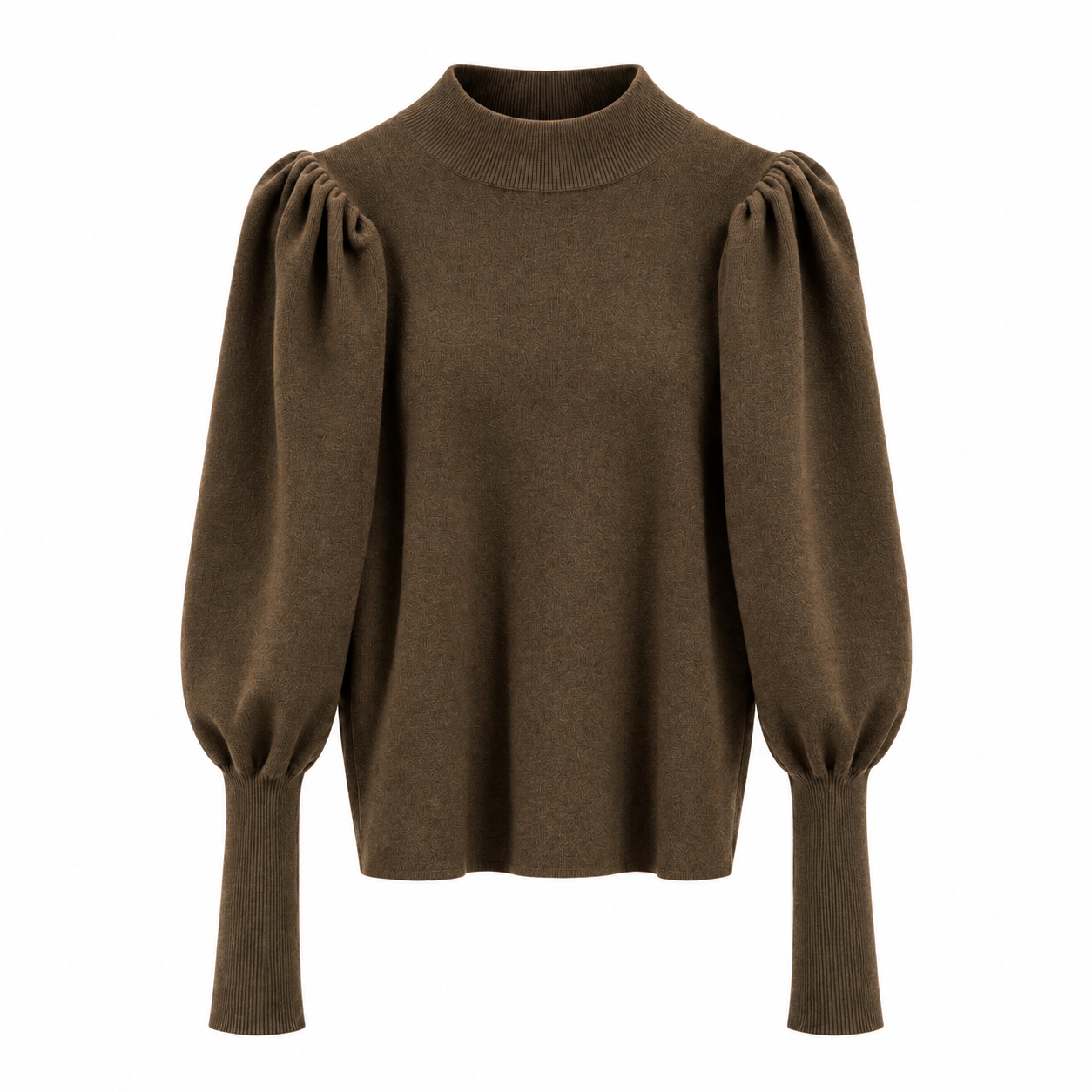 Bruin / 2XL