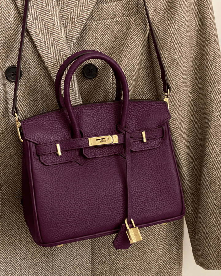 Elegant Women's Handbag with Gold-Toned Lock Detail