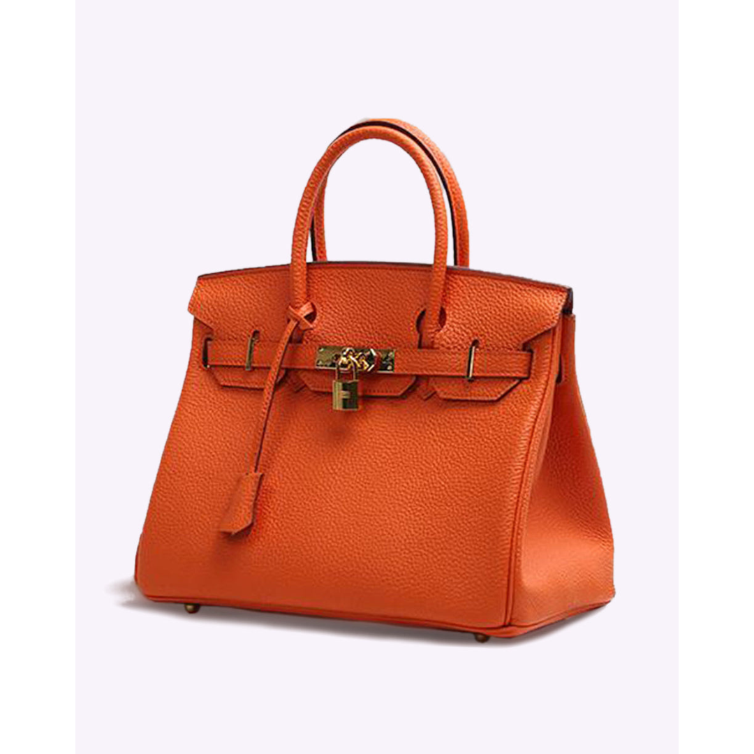 Elegant Women's Handbag with Gold-Toned Lock Detail