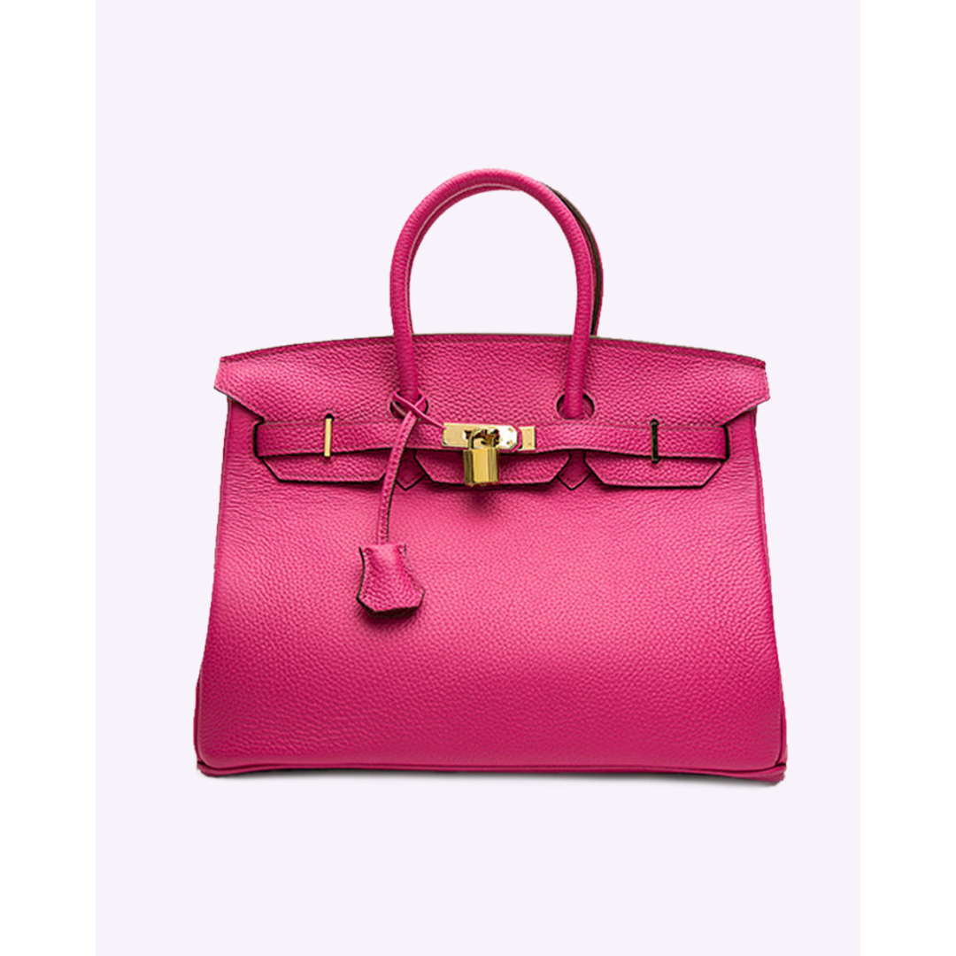 Elegant Women's Handbag with Gold-Toned Lock Detail