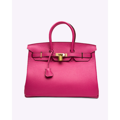 Elegante Vrouwen Handtas Met Goudkleurig Slotdetail