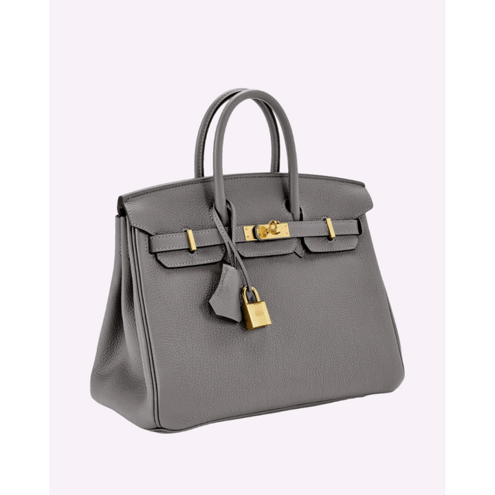 Elegant Women's Handbag with Gold-Toned Lock Detail