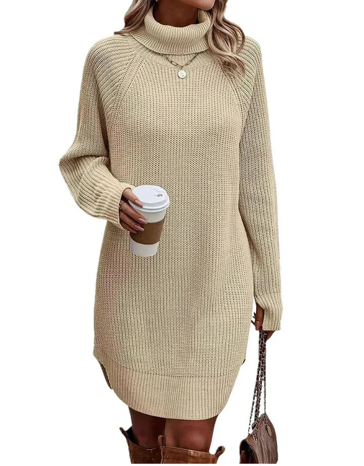 Warm Comfortable Women's Sweater Dress with Turtleneck