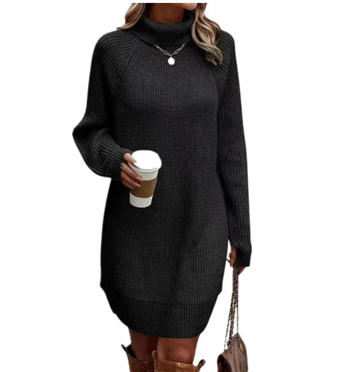 Warm Comfortable Women's Sweater Dress with Turtleneck