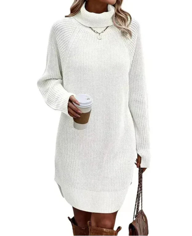 Warm Comfortable Women's Sweater Dress with Turtleneck