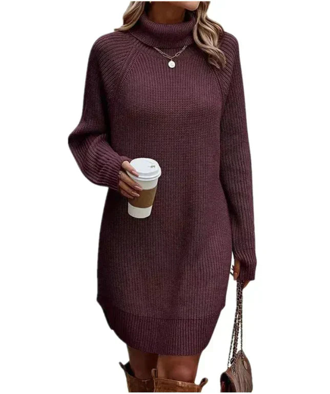 Warm Comfortable Women's Sweater Dress with Turtleneck